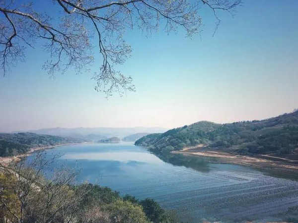 大河贝墓园教您墓地碑文的基本写法